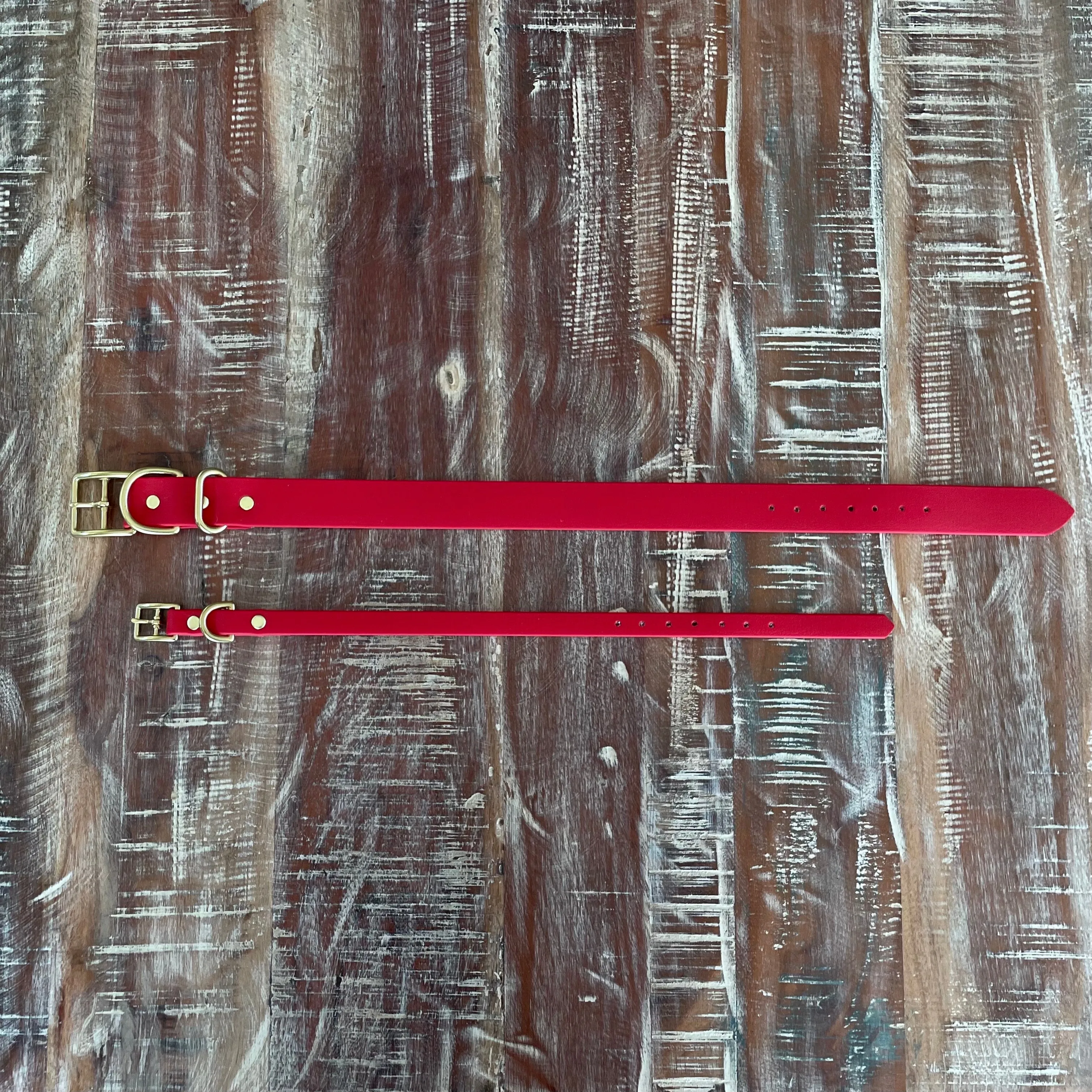 Waterproof Buckle Collar : Cherry   Brass