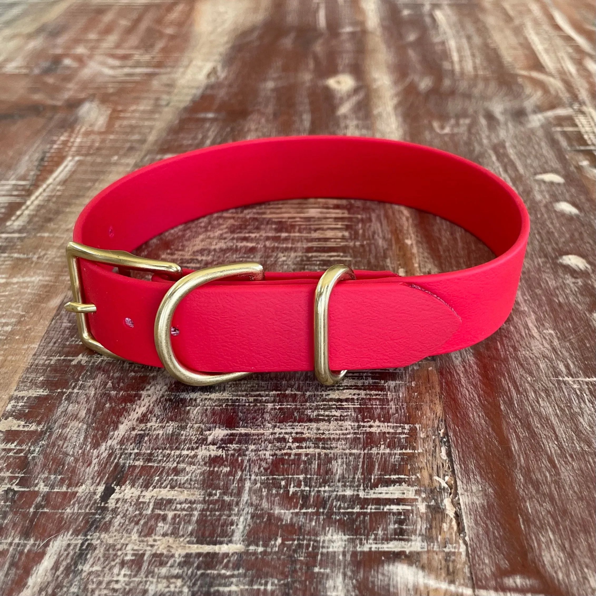 Waterproof Buckle Collar : Cherry   Brass