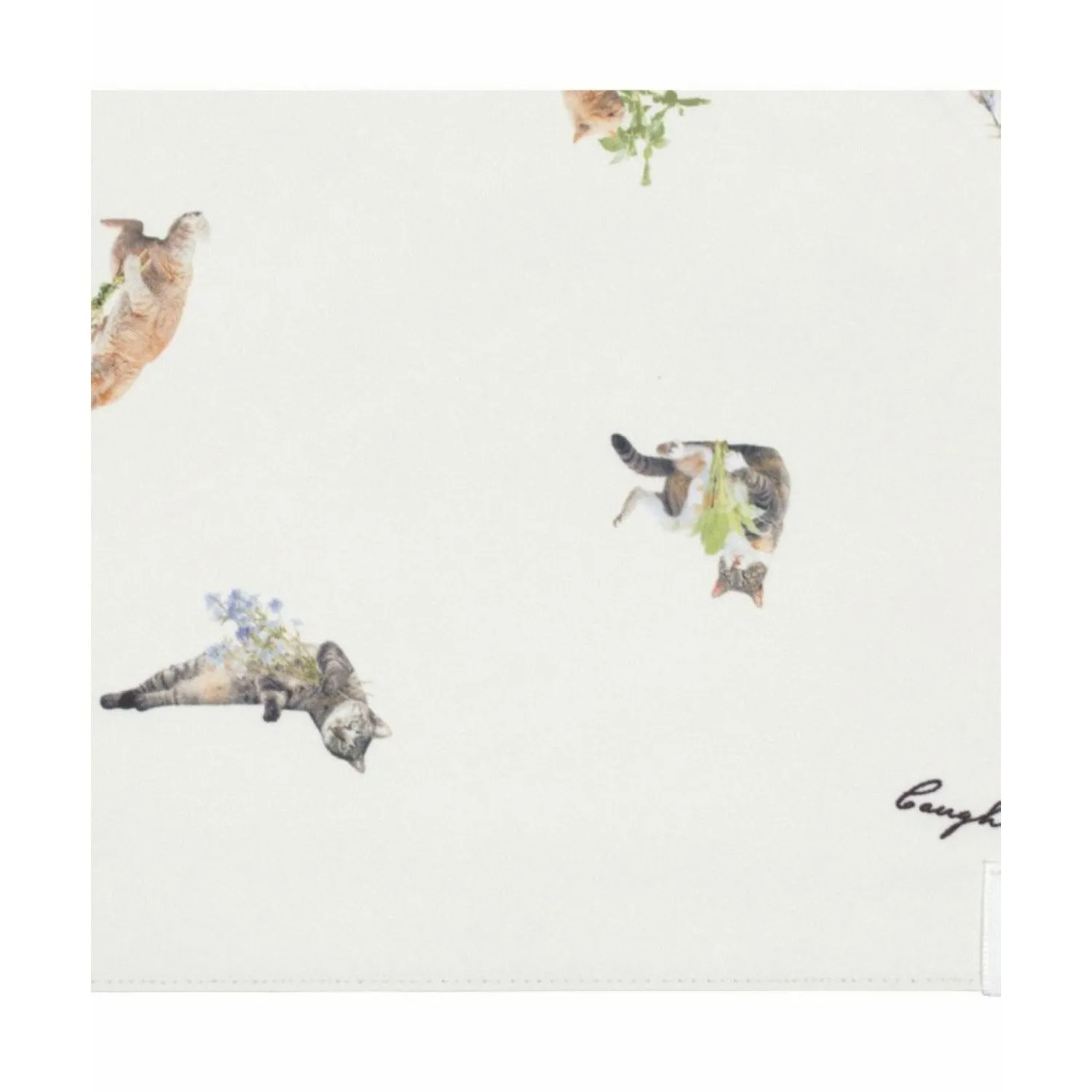 WPC X Masayuki Oki Neko (2025) UV Protection UPF 50  Umbrella 47cm